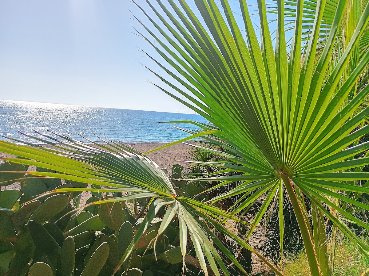 Dortmund Camping Nazar Apart Pansiyon – Fotoğraf 4