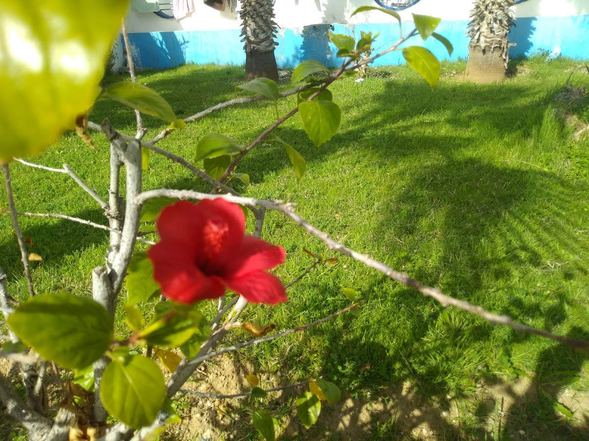 Dortmund Camping Nazar Apart Pansiyon – Fotoğraf 8