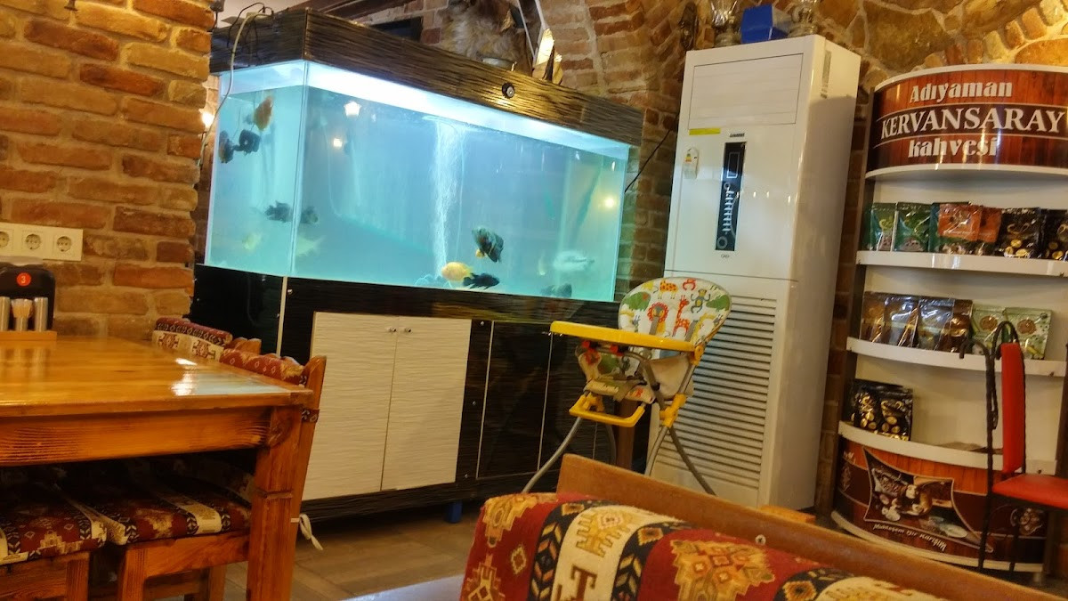 Dürümcü Kel Mehmet – Fotoğraf 3