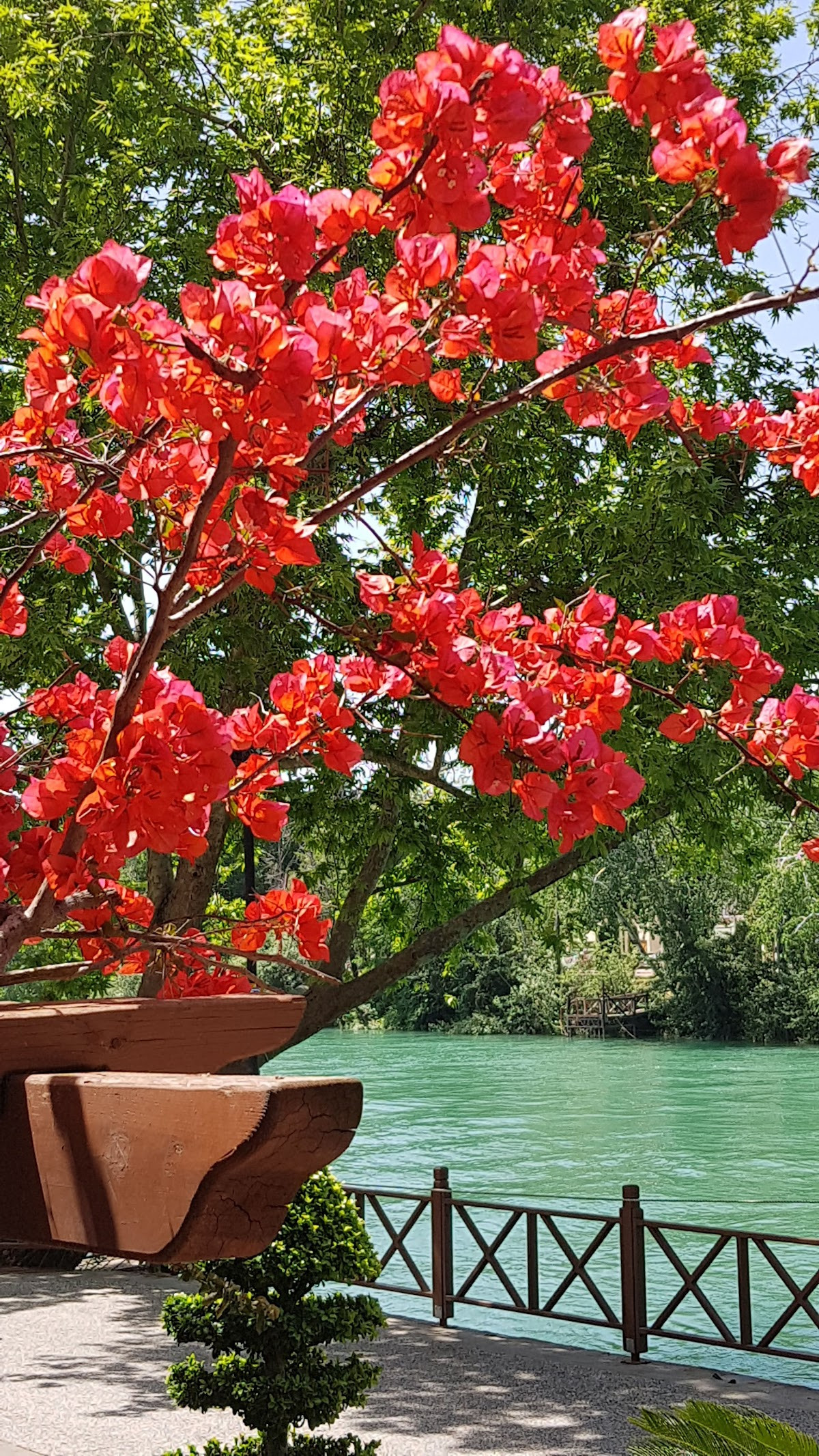 Efsane Döner – Fotoğraf 7