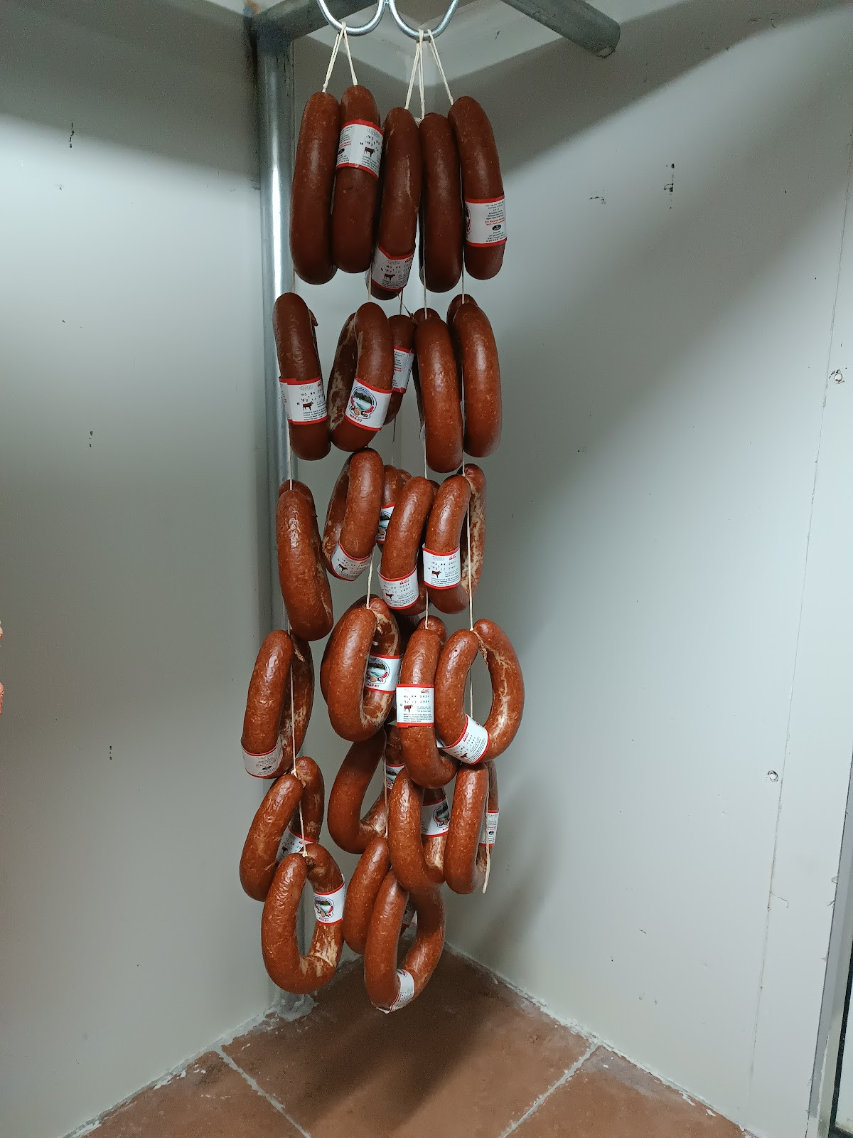 ERGİN KASAP – Fotoğraf 3