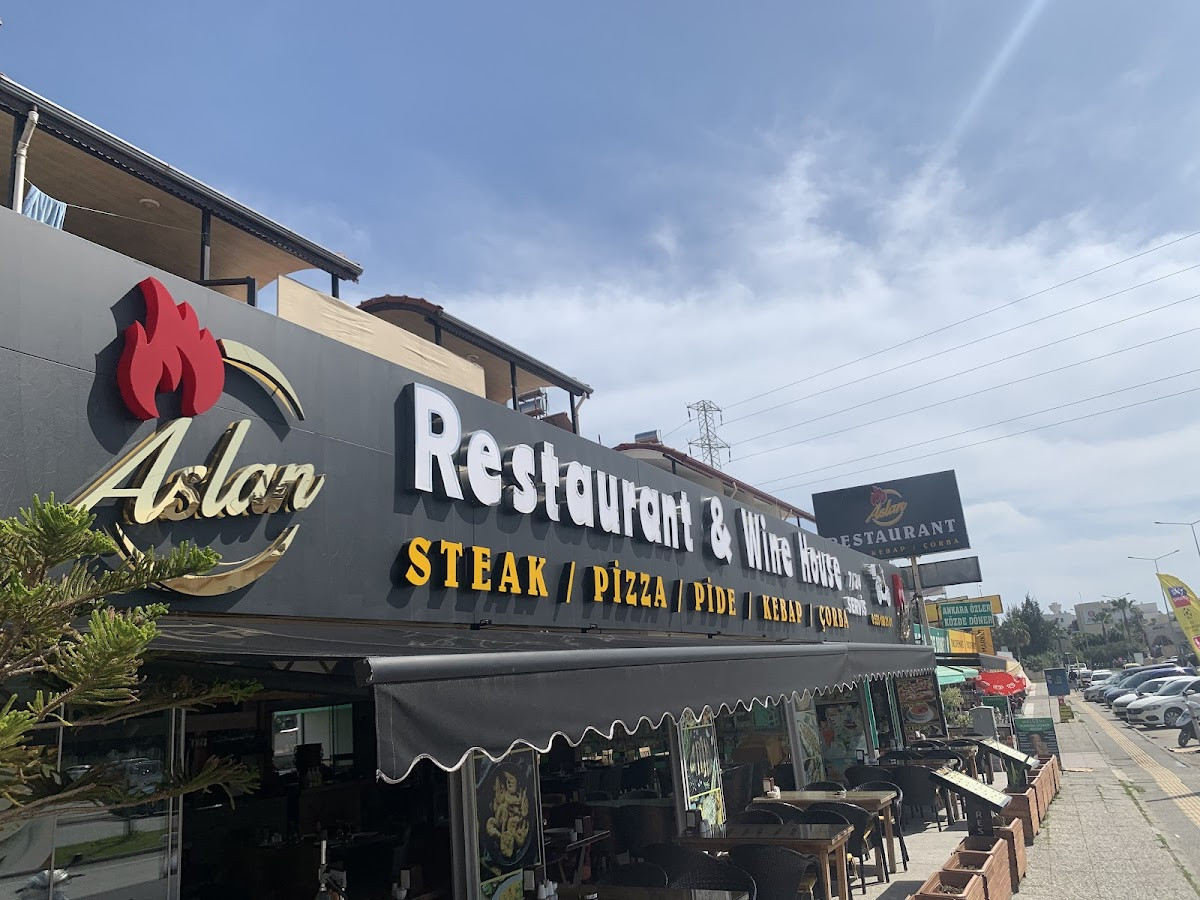 Evrenseki Aslan Restaurant Ocak Başı – Fotoğraf 1