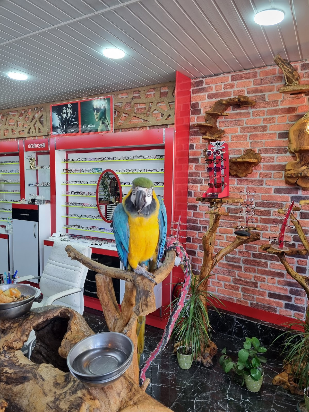 Evrenseki Taksi – Fotoğraf 10