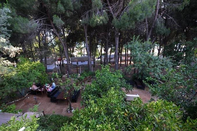 Familybutikhotel – Fotoğraf 3