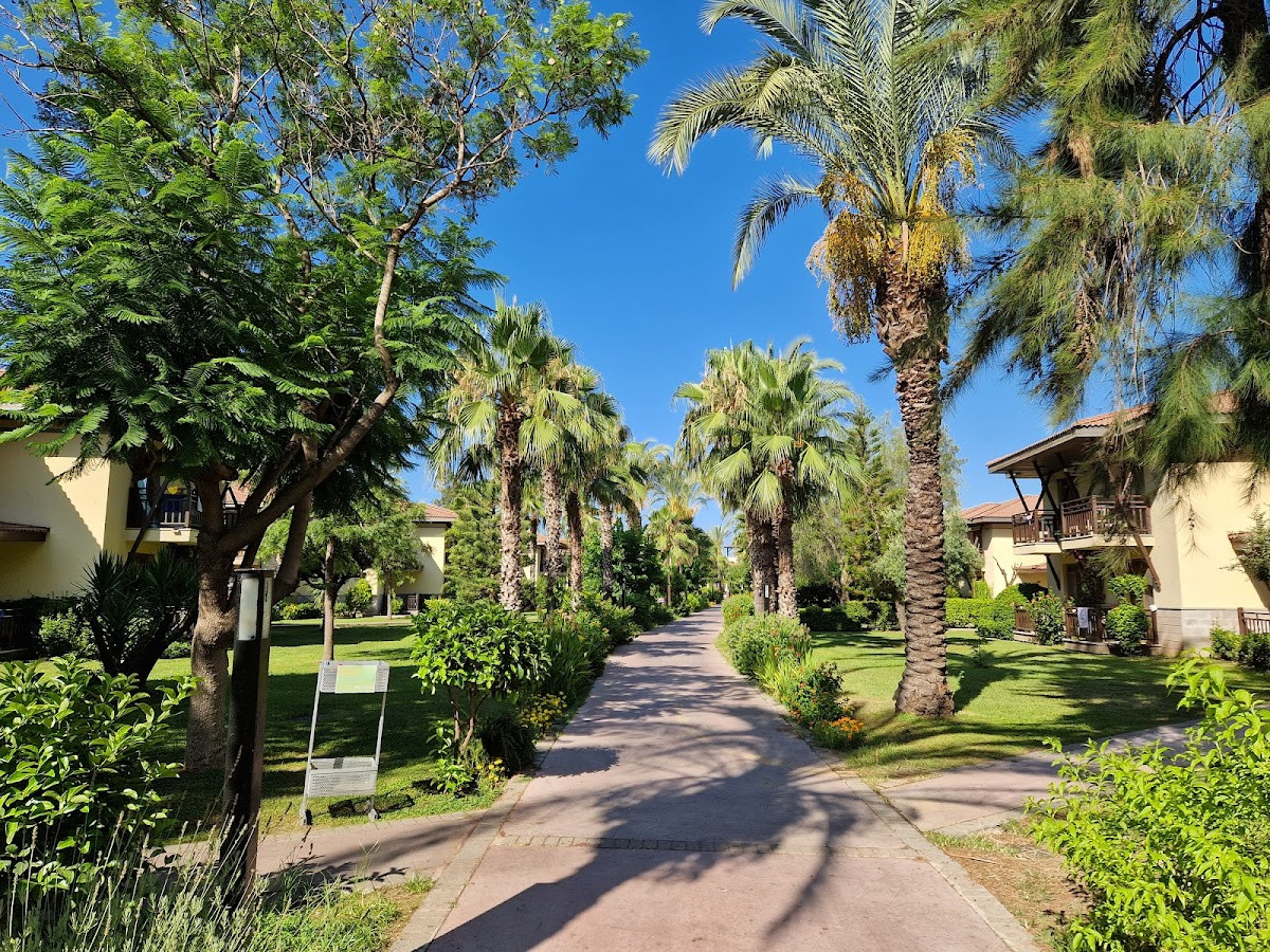 Felicia Village – Fotoğraf 5