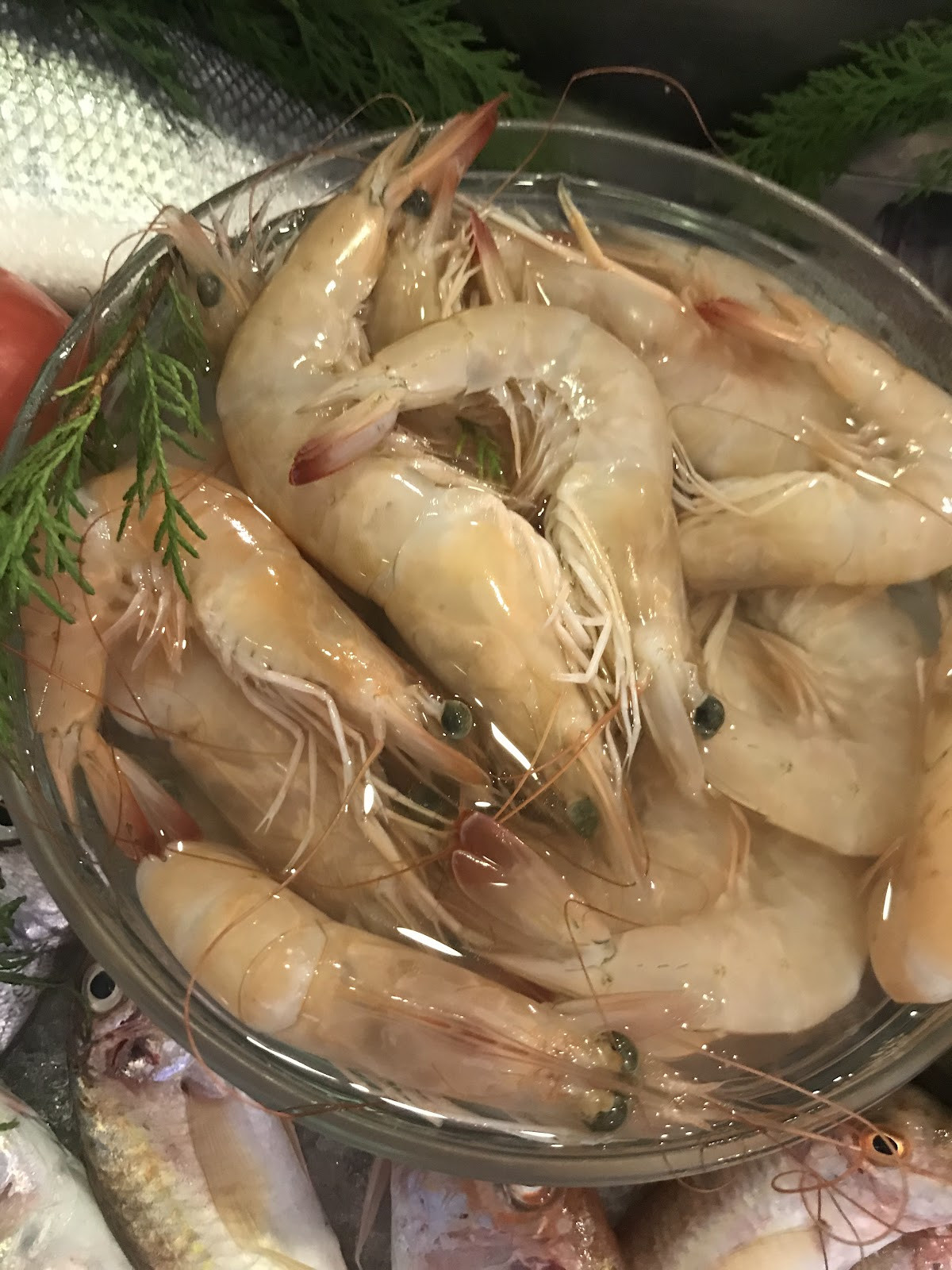 FENER BALIKÇISI – Fotoğraf 5