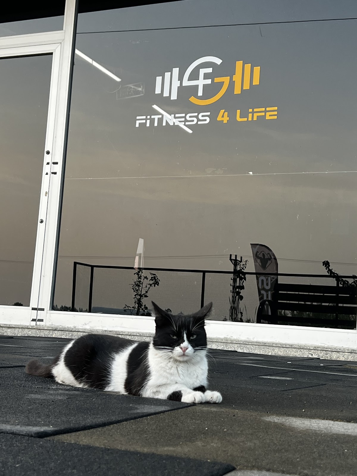 Fitness 4 Life Ilıca – Fotoğraf 8