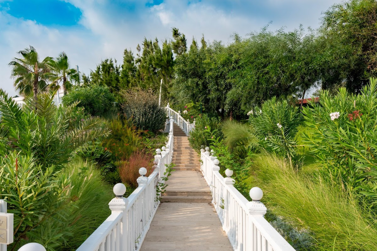 Flora Garden Beach Hotel ( 16+ Adults Only ) – Fotoğraf 4