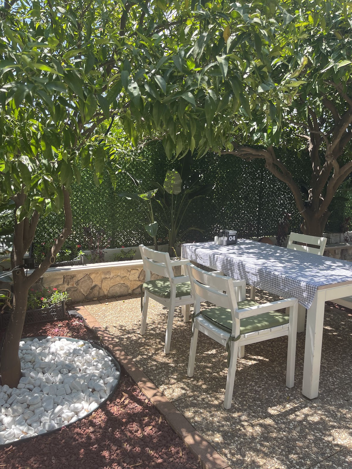 Gardenia Side Cafe&Restaurant – Fotoğraf 5