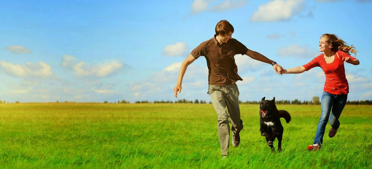 Günallar Elektrik – Fotoğraf 2