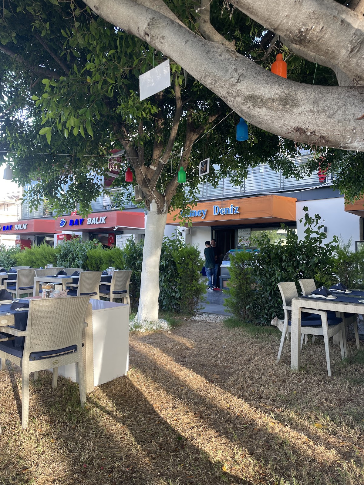 Güney Deniz Restaurant – Fotoğraf 6