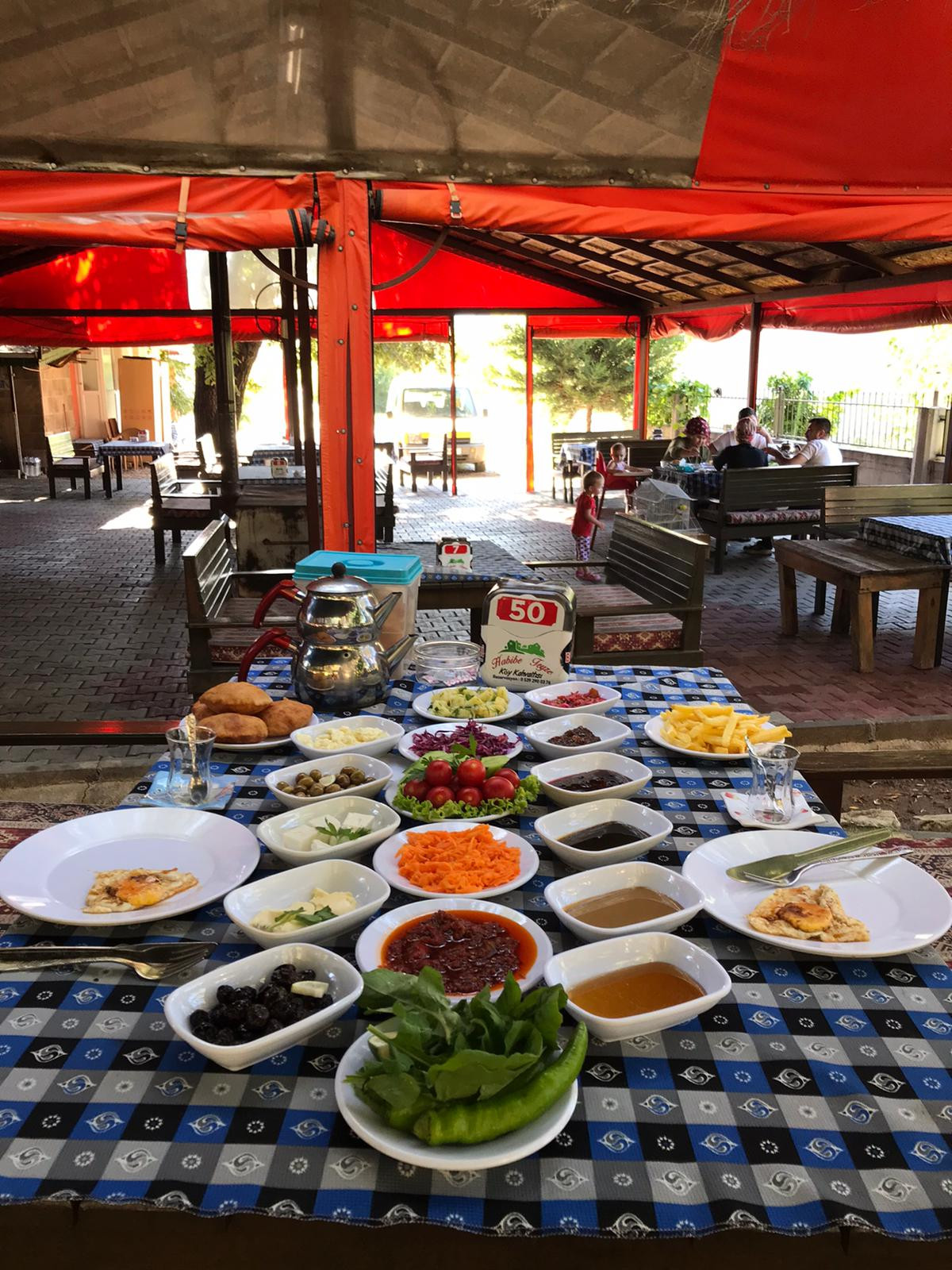 Habibe Teyze Çağlayan (Kahvaltı-Restaurant-Mangal-Piknik) – Fotoğraf 2