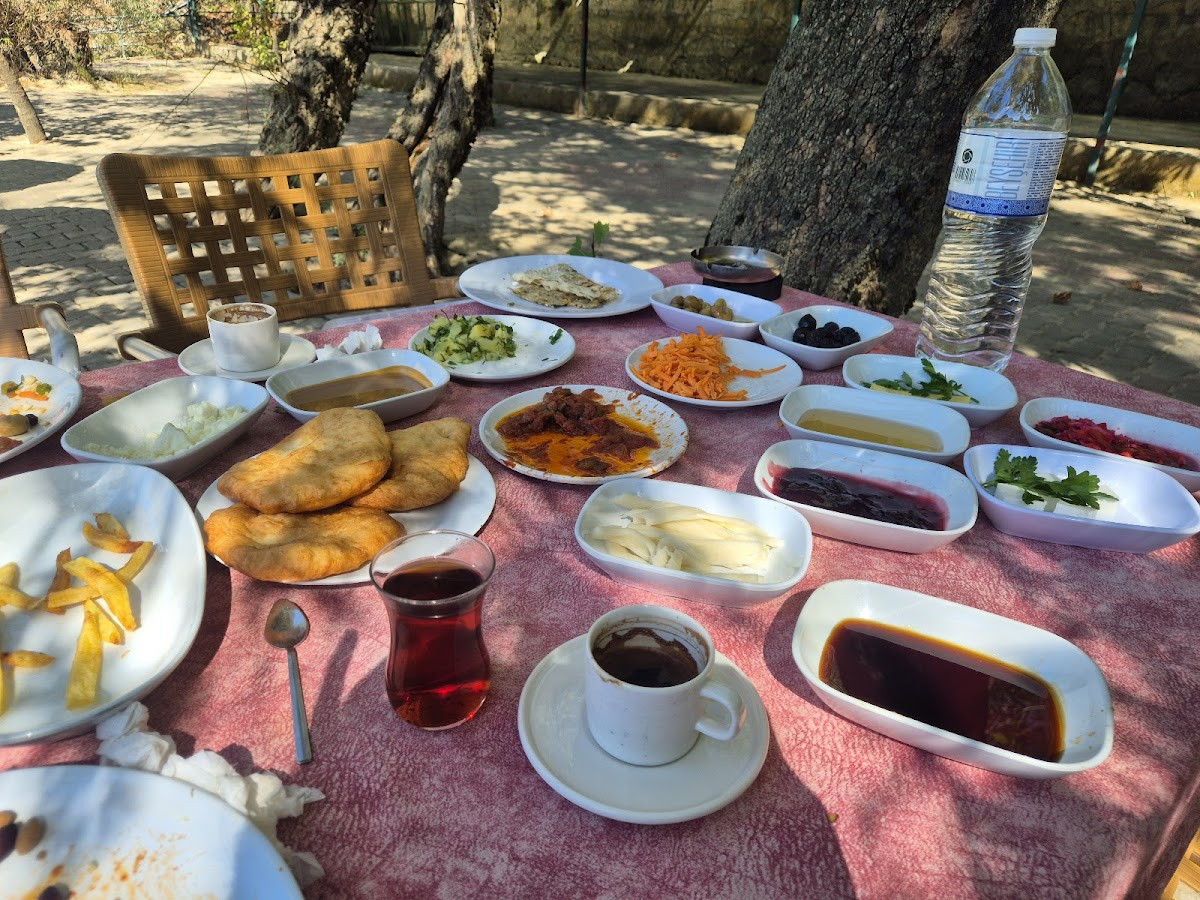 Habibe Teyze Çağlayan (Kahvaltı-Restaurant-Mangal-Piknik) – Fotoğraf 4