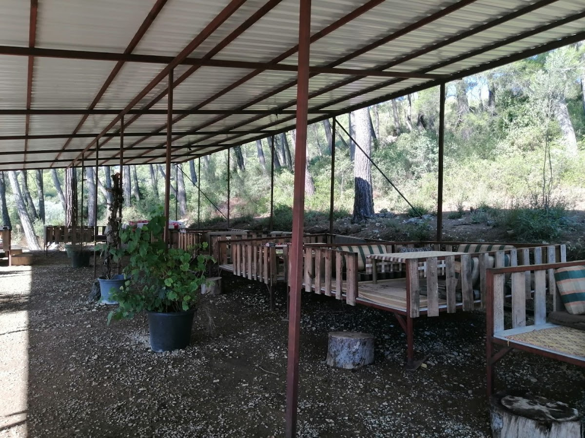 Habibe Teyze Çağlayan (Kahvaltı-Restaurant-Mangal-Piknik) – Fotoğraf 1