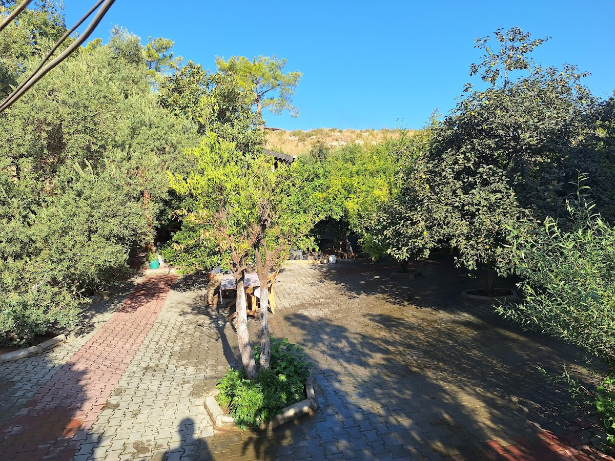 Habibe Teyze Çağlayan (Kahvaltı-Restaurant-Mangal-Piknik) – Fotoğraf 7