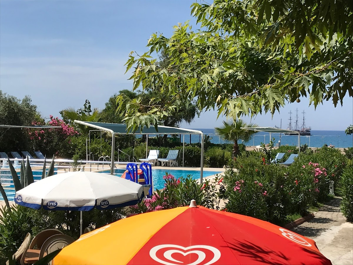 hotel grün – Fotoğraf 5