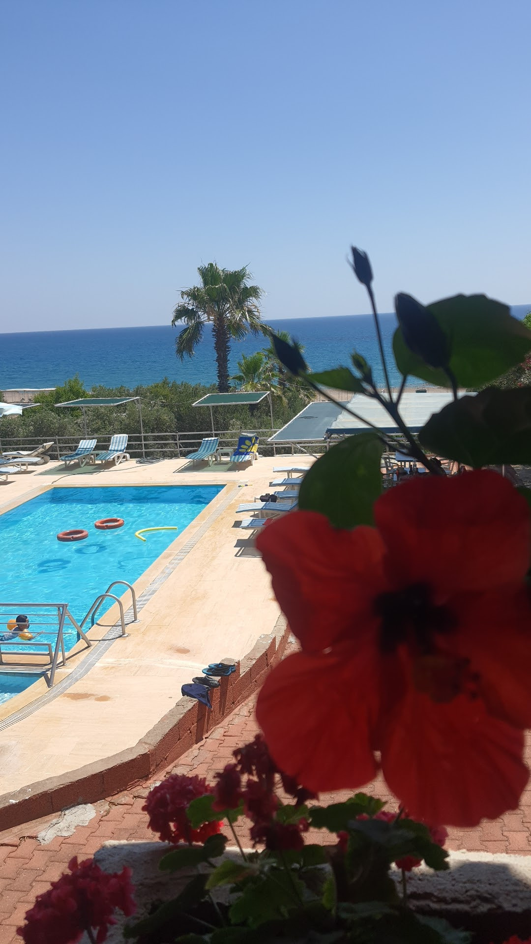 hotel pension schönberg – Fotoğraf 6