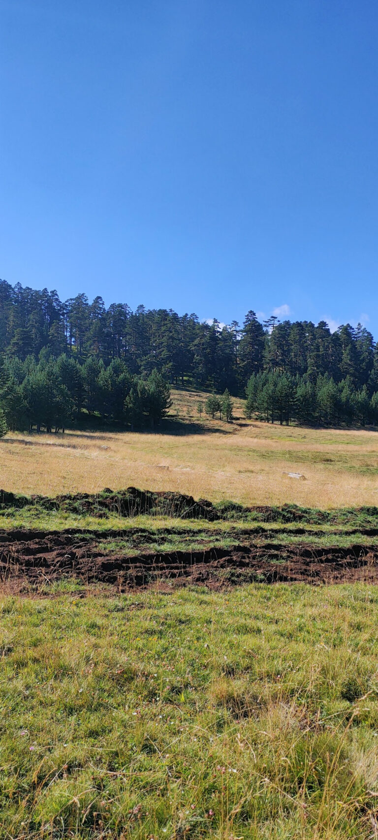 Ilıca Belediyesi — Manavgat Manavgat Temizlik