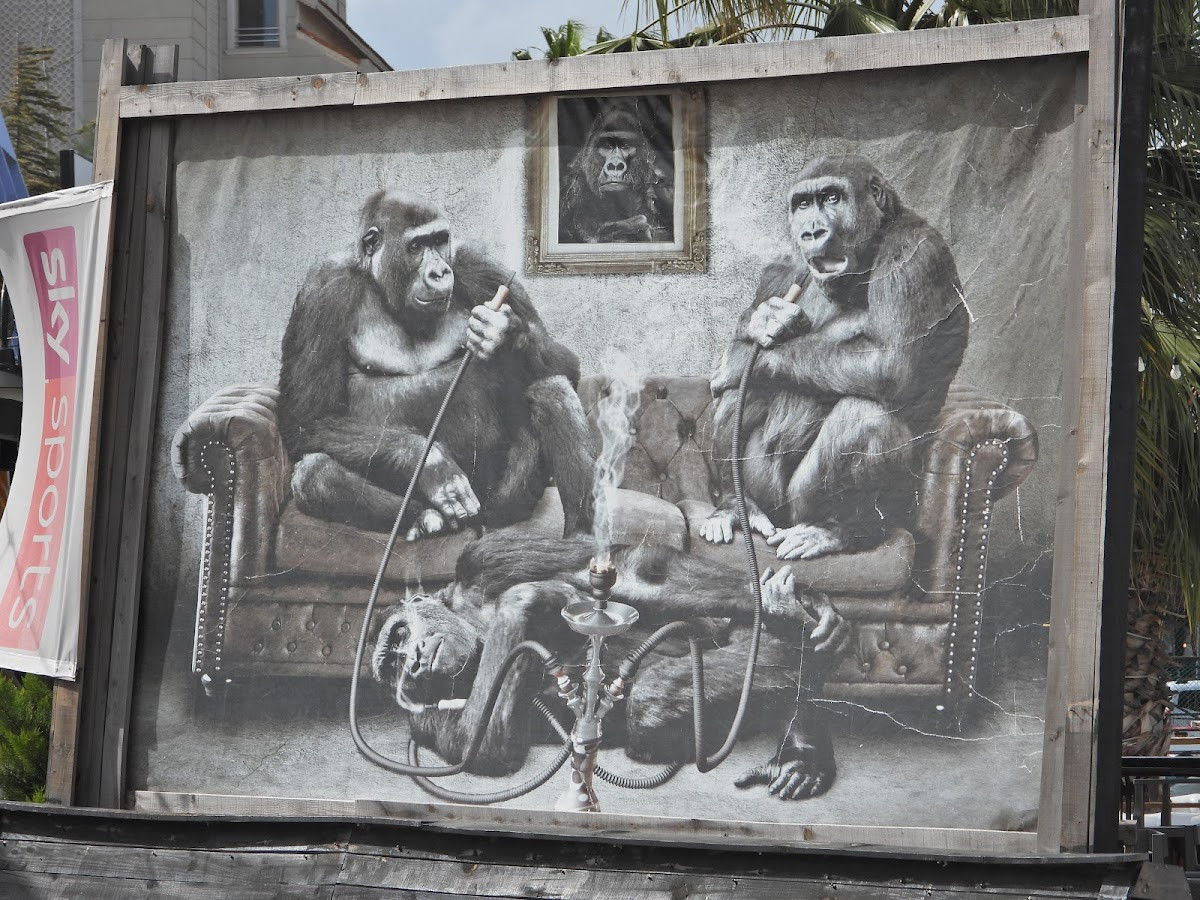 Ilıca – Fotoğraf 10