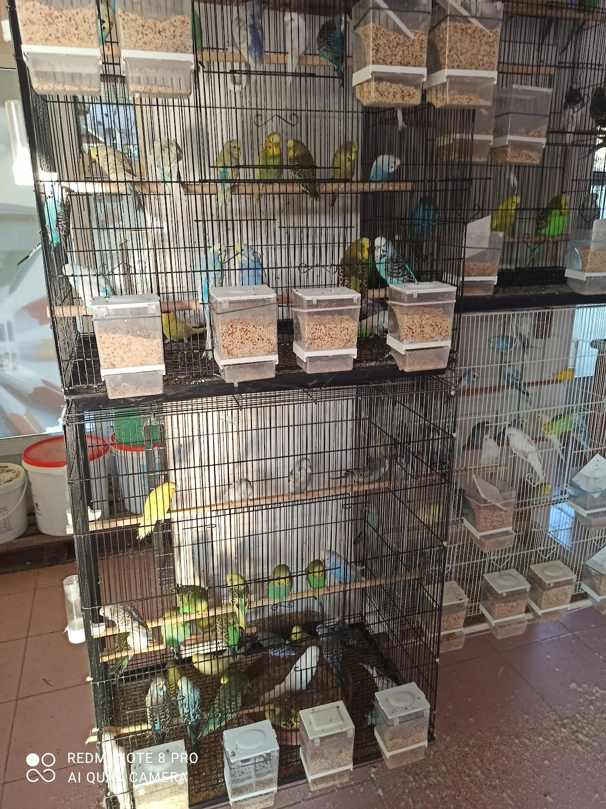 Ilıca Tüp Aygaz tüp ve su bayii CAN Ticaret ılıca tüpçü – Fotoğraf 5