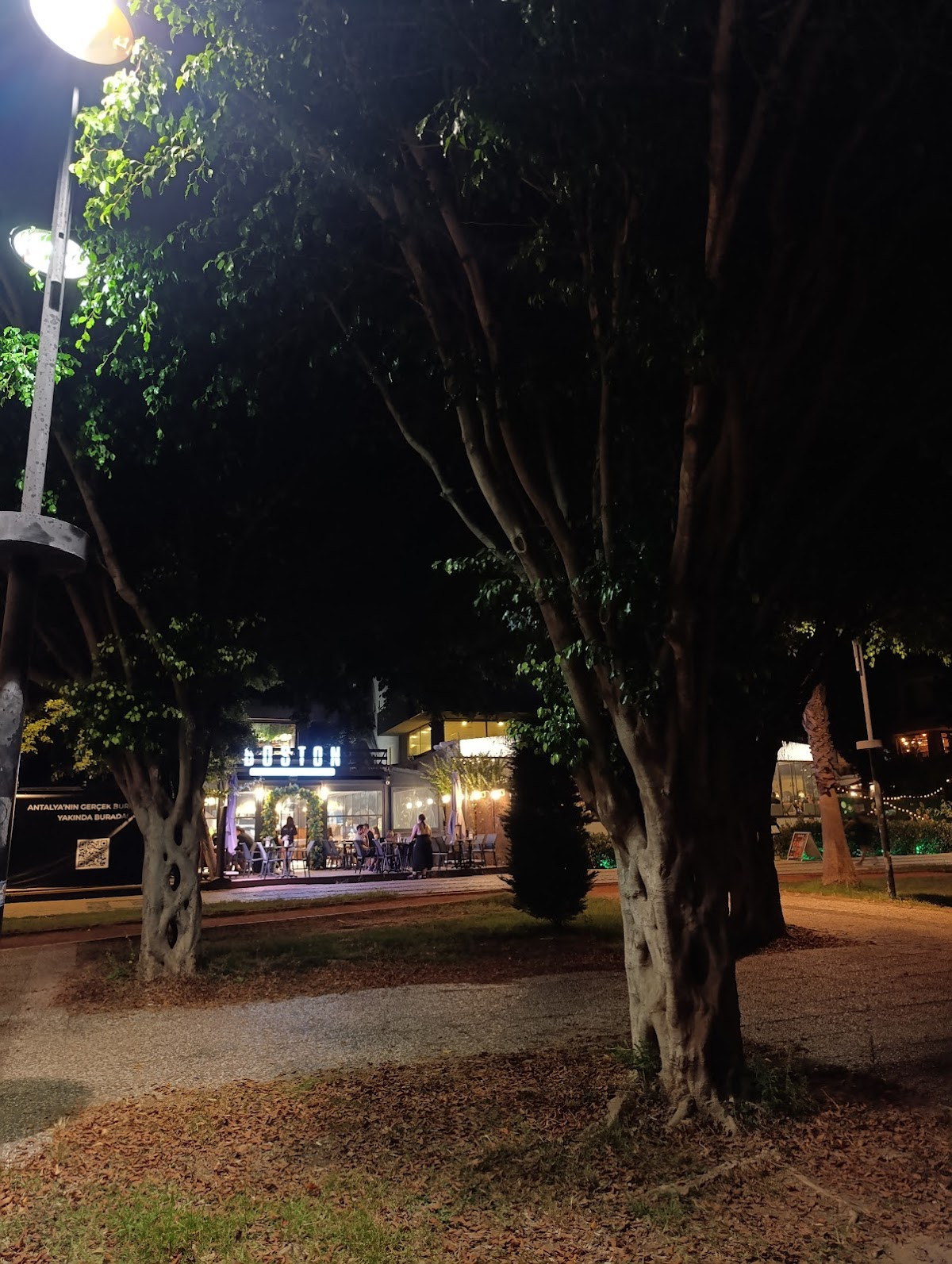 Irmak Kenari – Fotoğraf 5