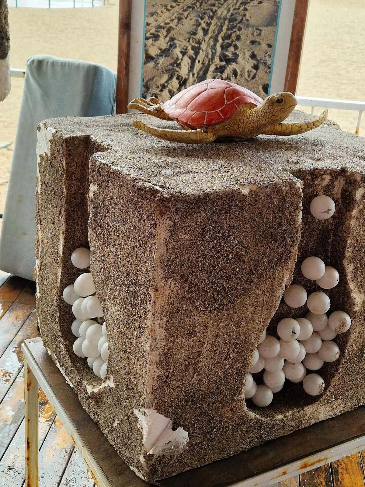 Irmak Kenari – Fotoğraf 2