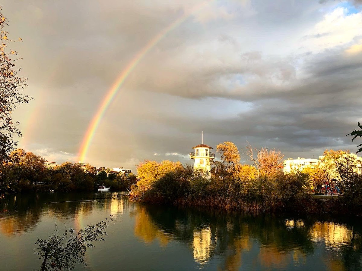 Irmak Kenari – Fotoğraf 6