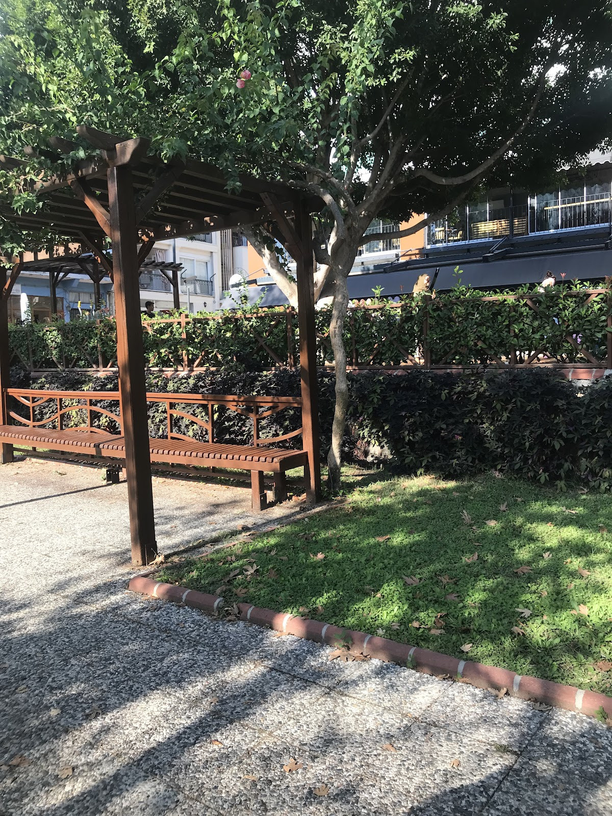 Irmak Kenari – Fotoğraf 10