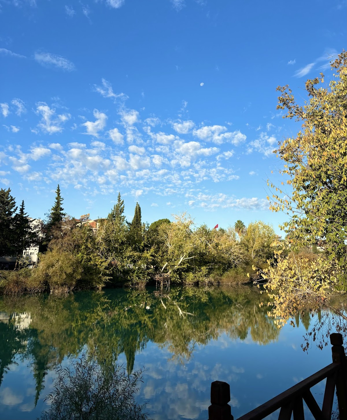 Irmak Kenari – Fotoğraf 3