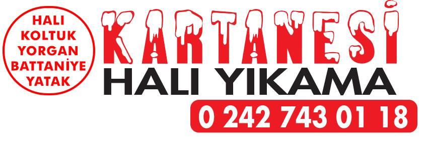 Kartanesi Halı Yıkama – Fotoğraf 1