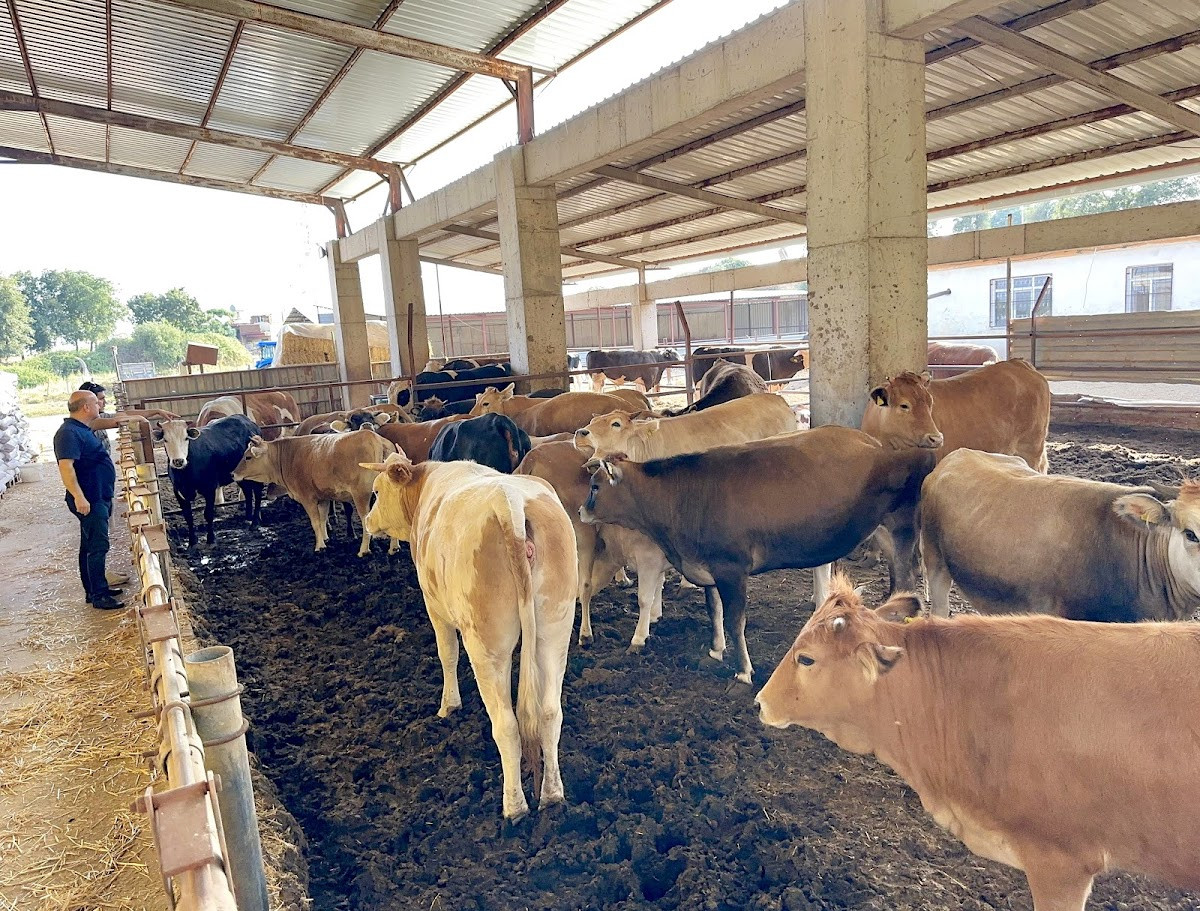 Kasap Deniz Çiftliği – Fotoğraf 2