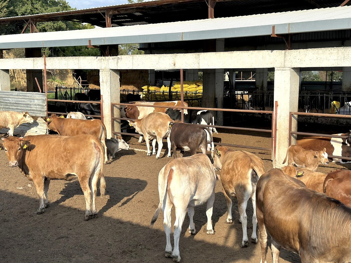 Kasap Deniz Çiftliği – Fotoğraf 9