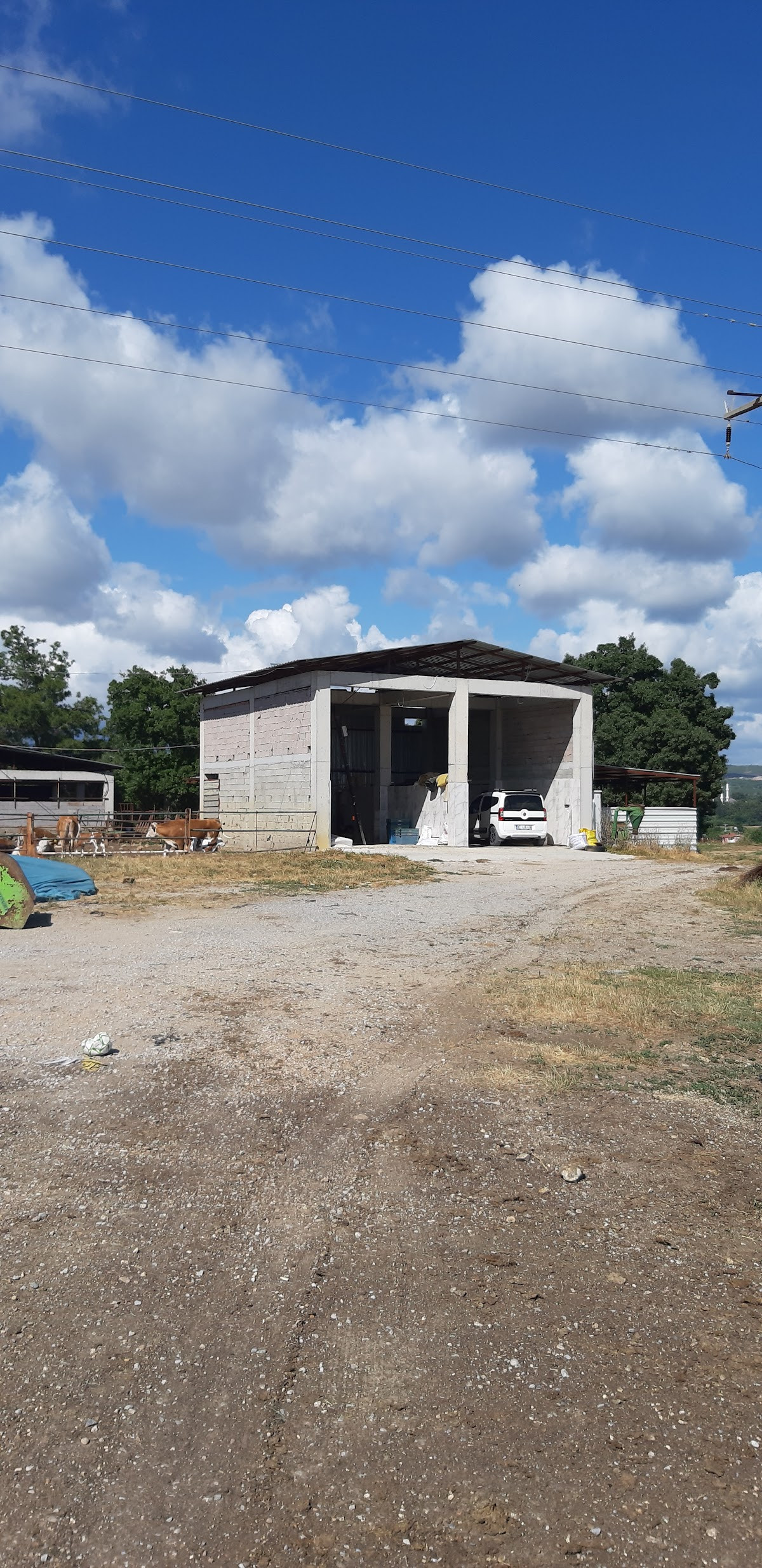 Kasap Deniz Çiftliği – Fotoğraf 4