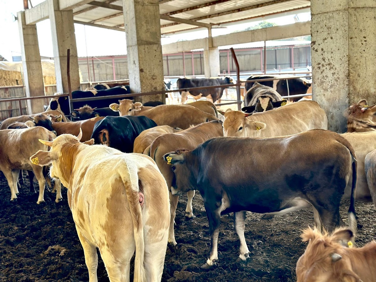 Kasap Deniz Çiftliği – Fotoğraf 5