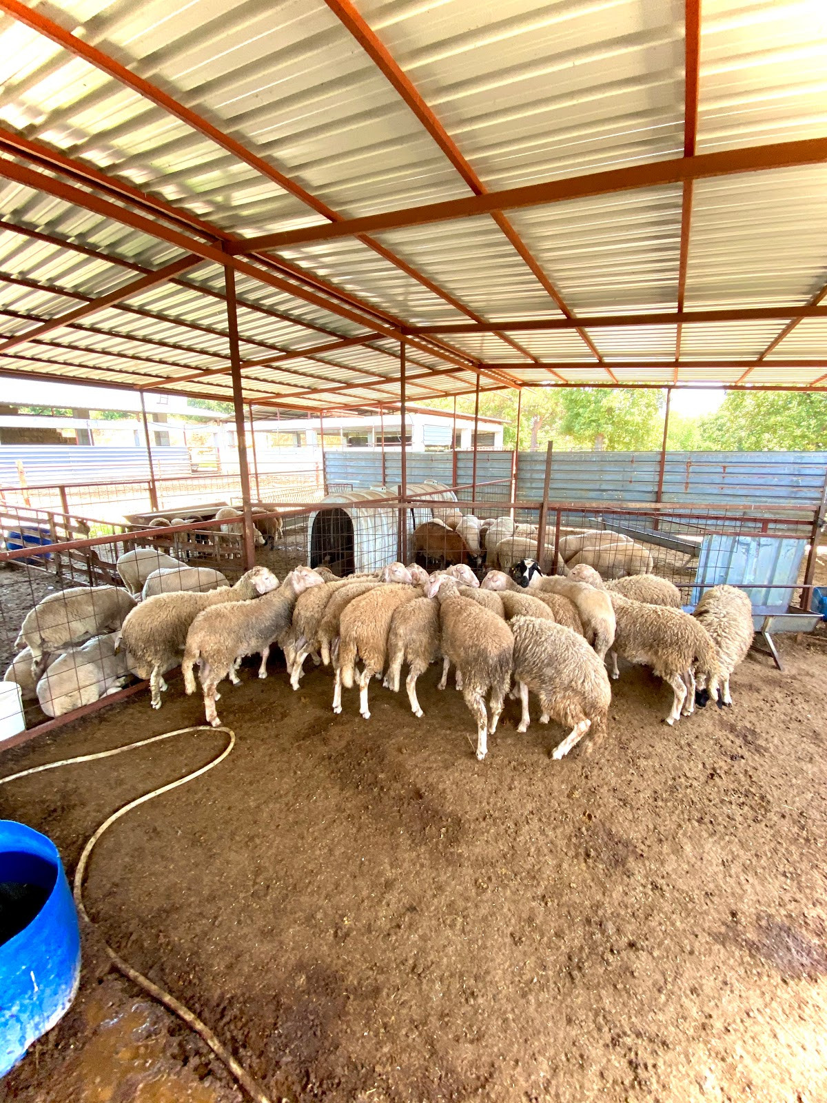 Kasap Deniz Çiftliği – Fotoğraf 8