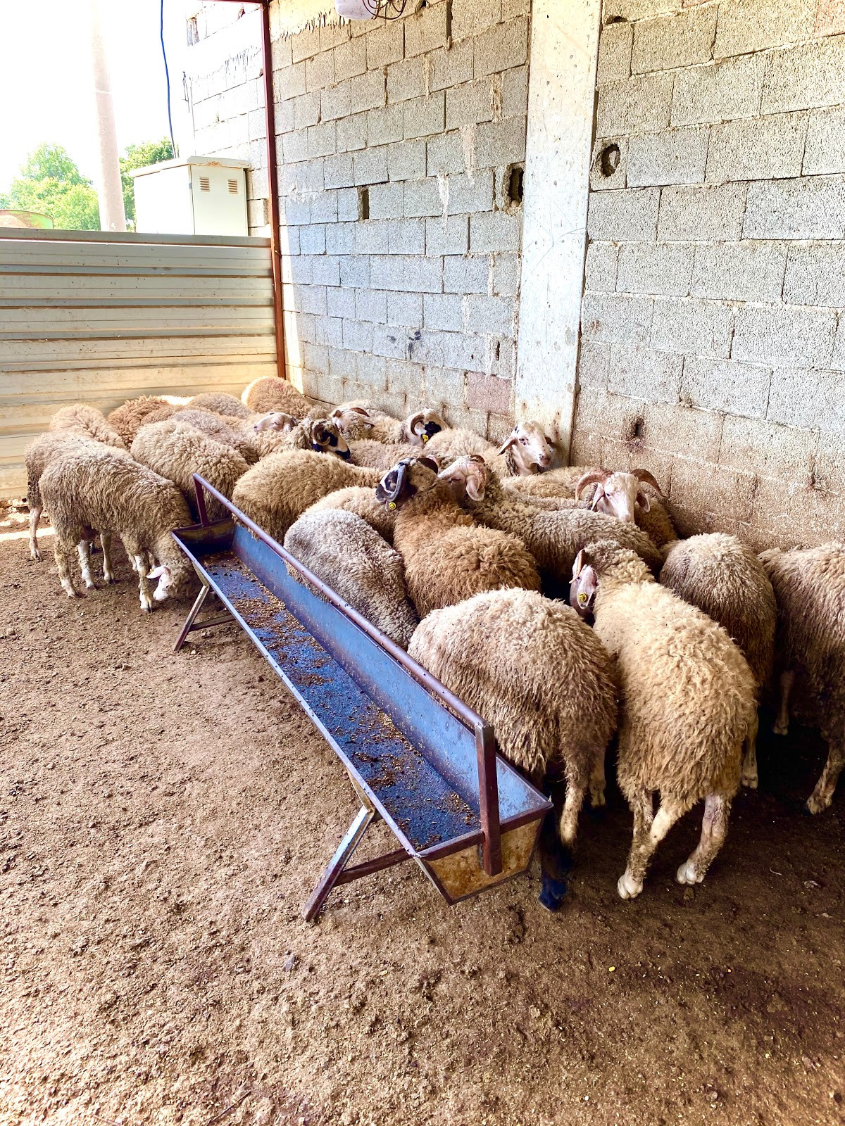 Kasap Deniz Çiftliği – Fotoğraf 7