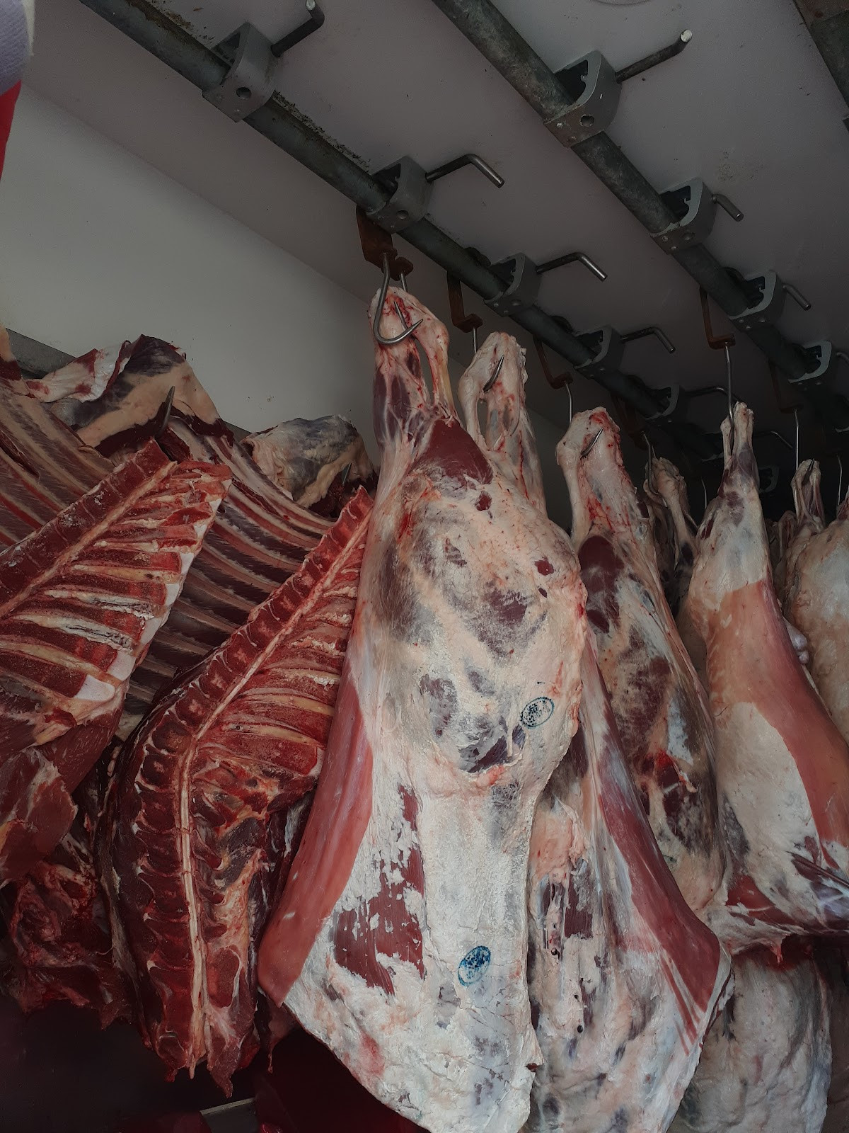 Kasap İbo Manavgat – Fotoğraf 6