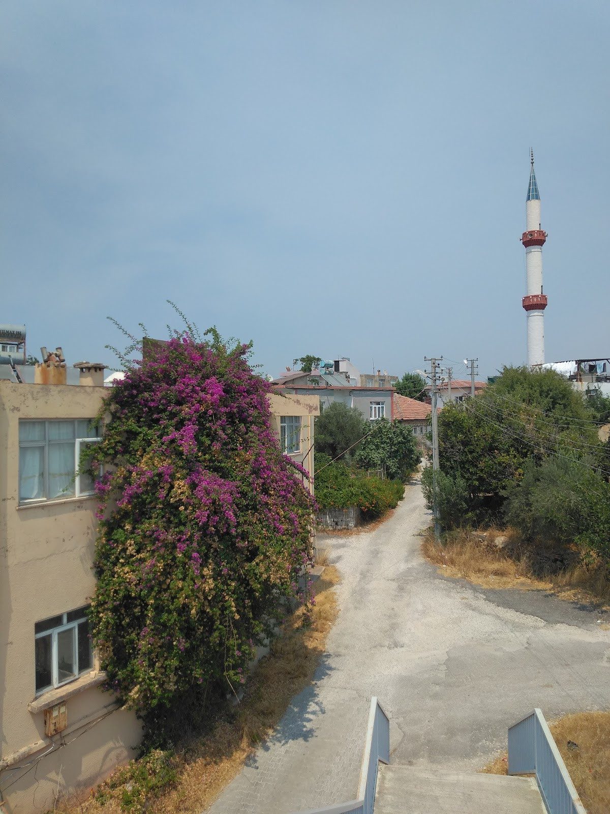 Kızılot – Fotoğraf 2