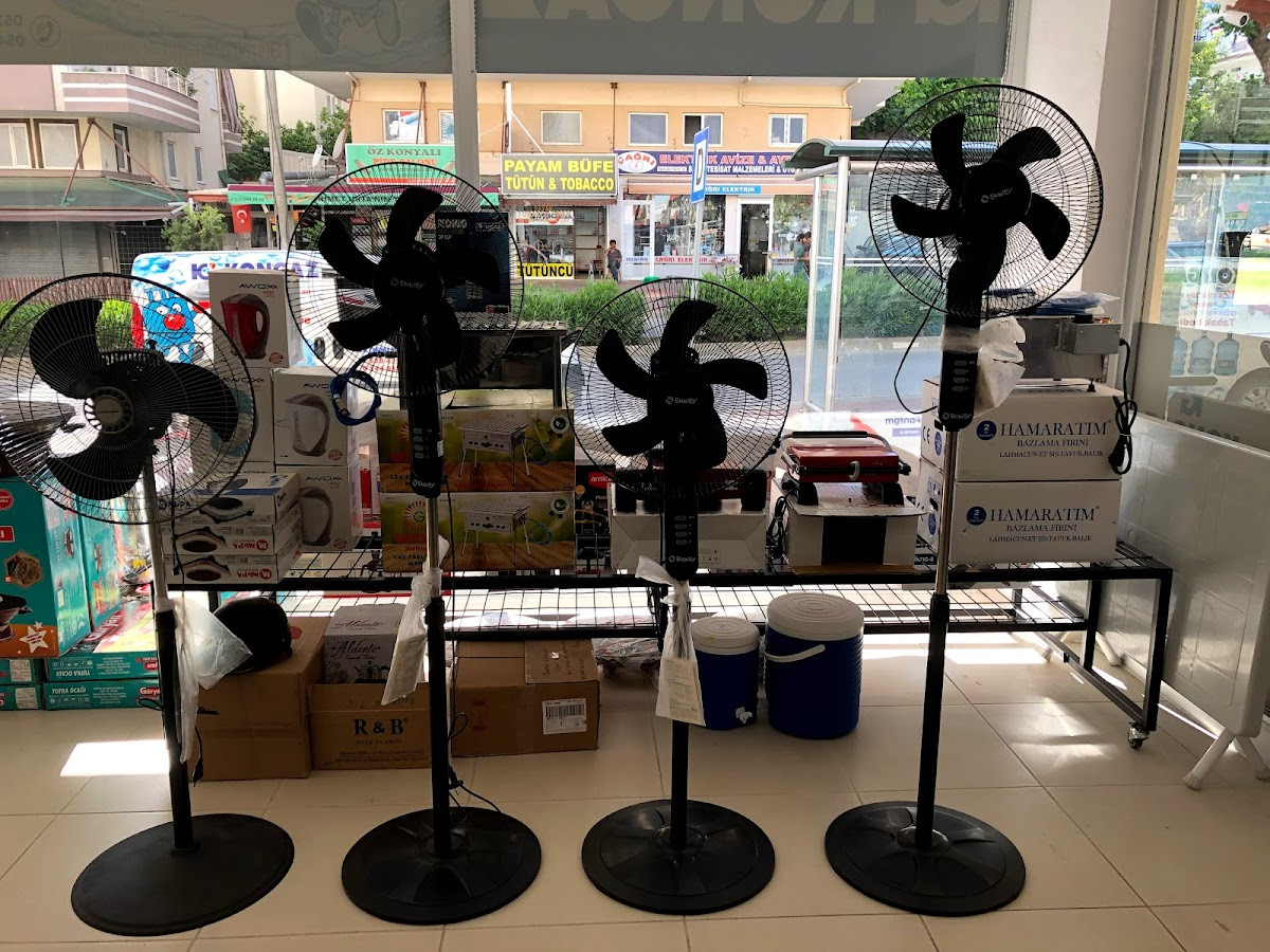 Kongaz – Fotoğraf 2