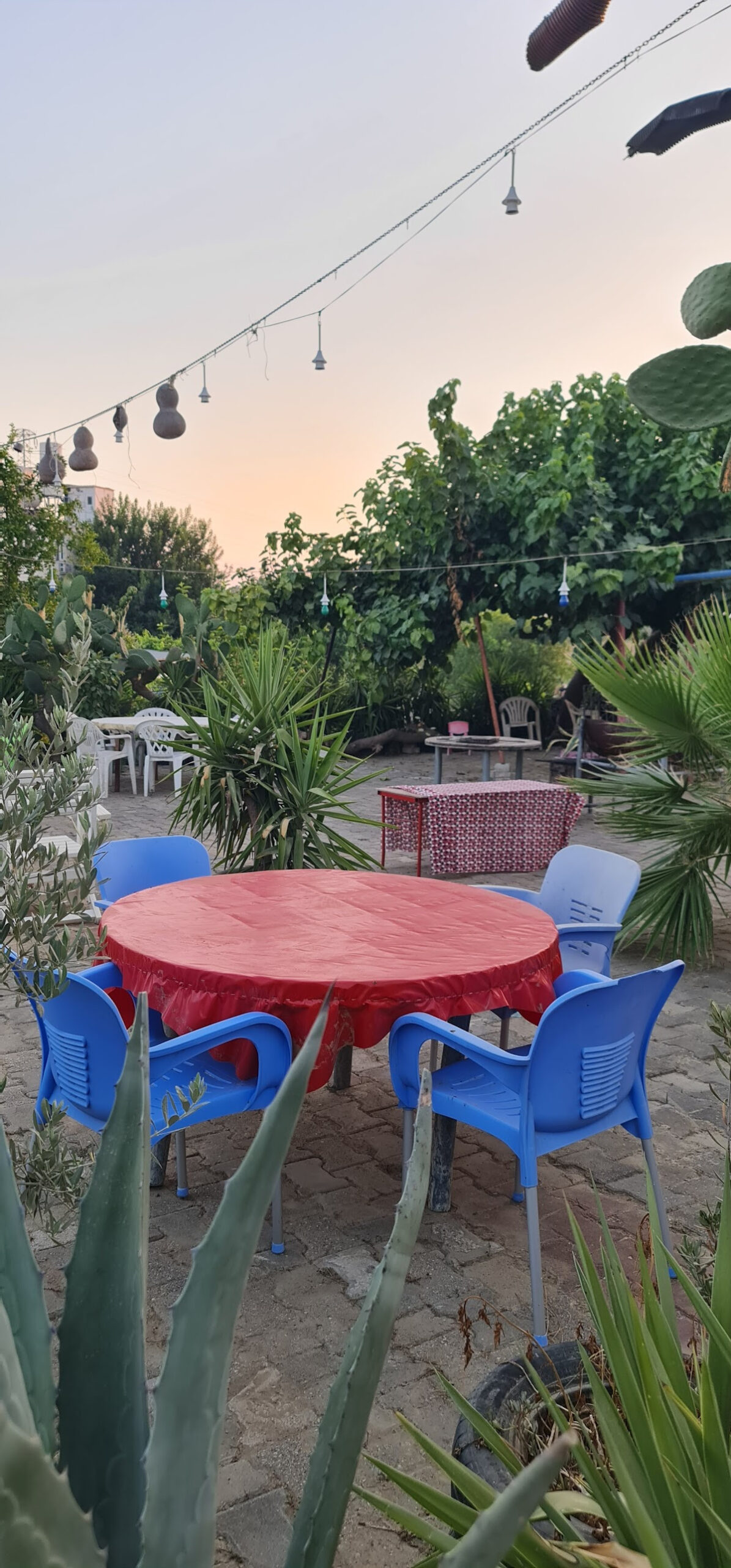 Korkmaz Apart Pansiyon – Fotoğraf 5