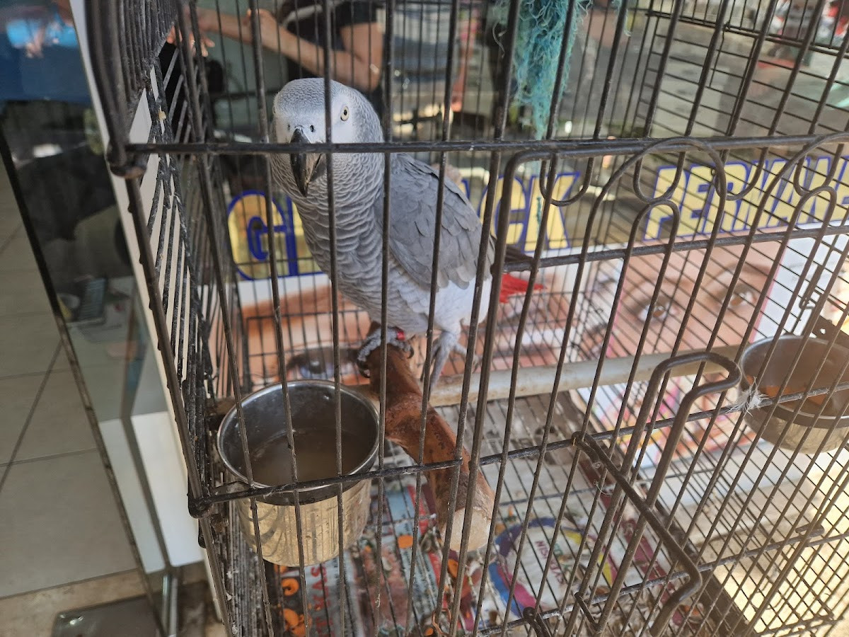 Kumkoy Friseur Ali – Fotoğraf 10