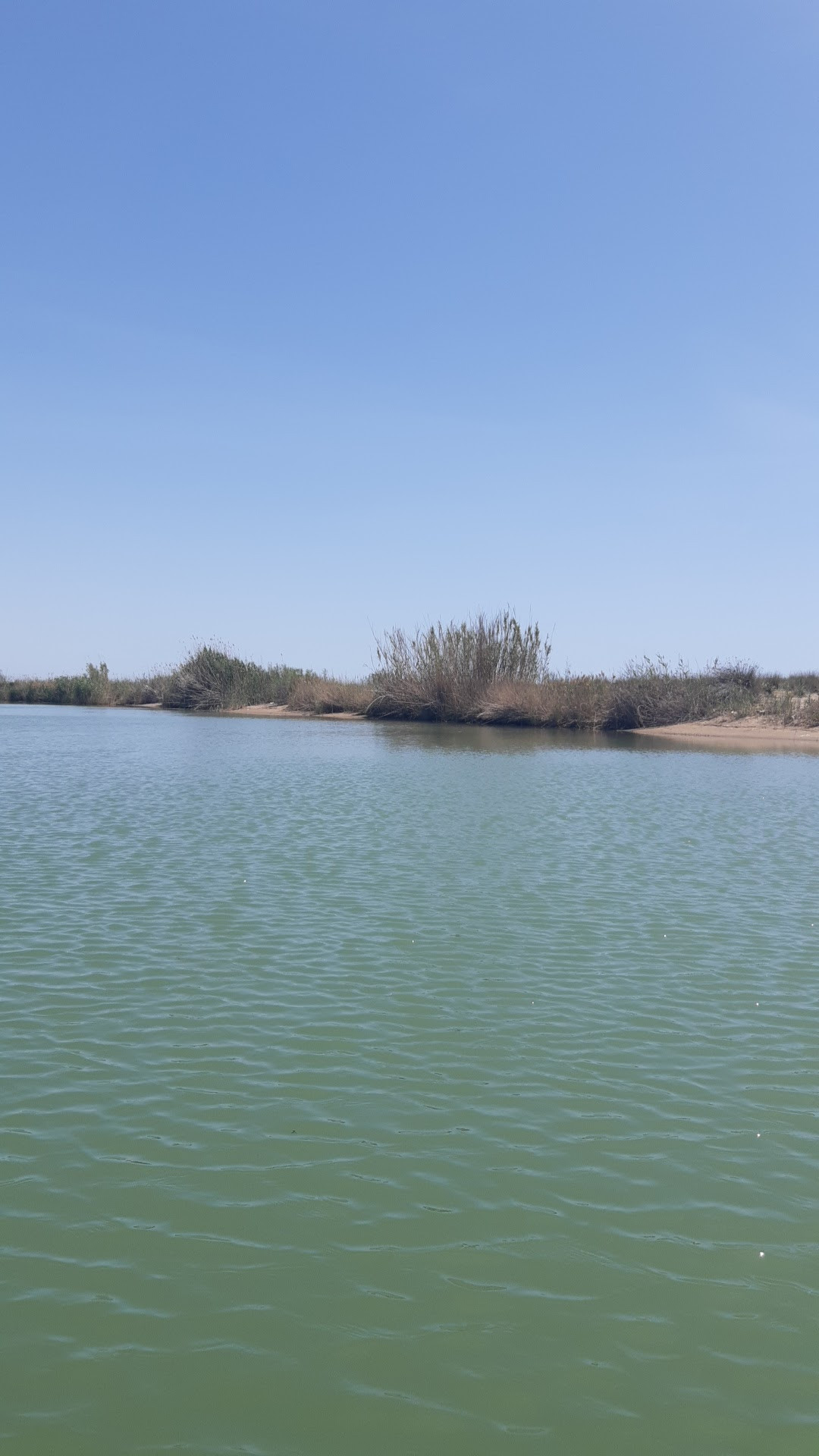 Kumköy Halk Plajı – Fotoğraf 6