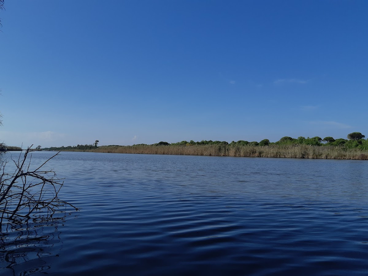 Kumköy Halk Plajı – Fotoğraf 5