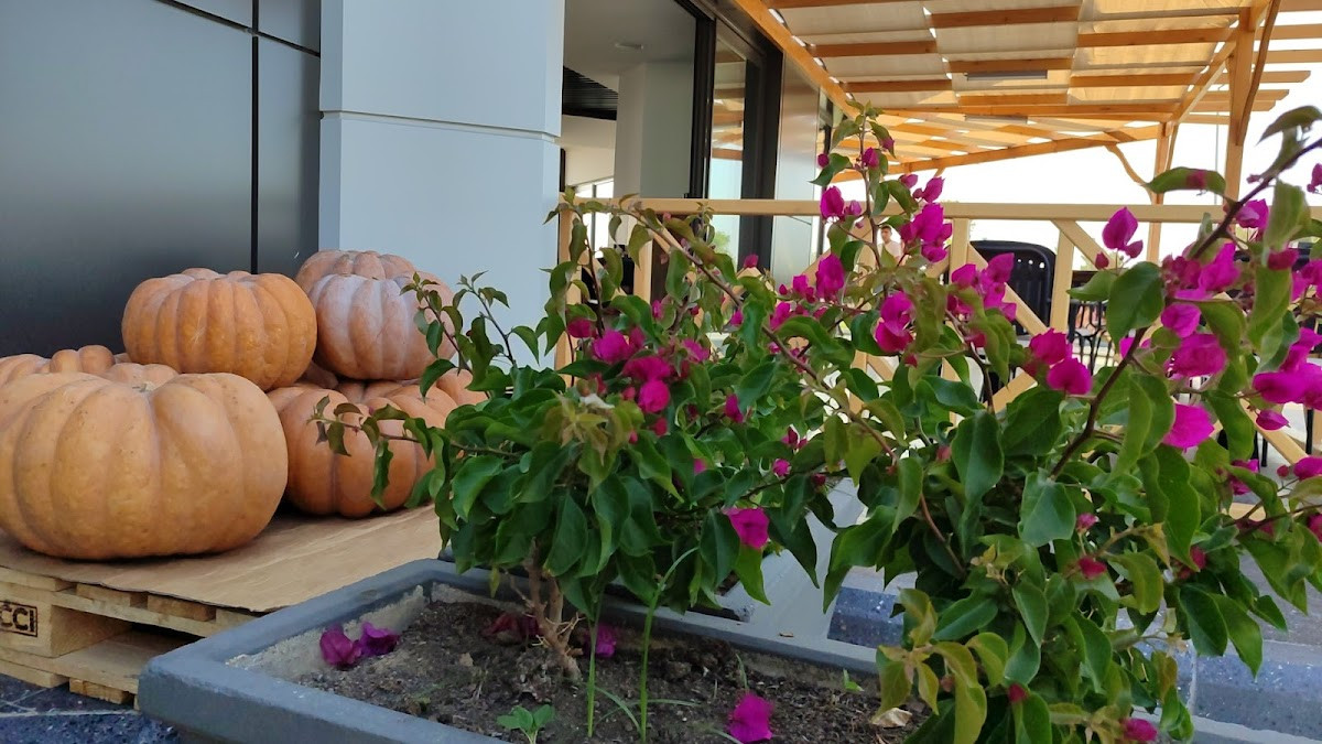 LAVANTA RESTAURANT by erolllar – Fotoğraf 10