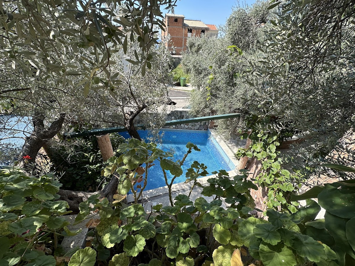 Levantin – Fotoğraf 9