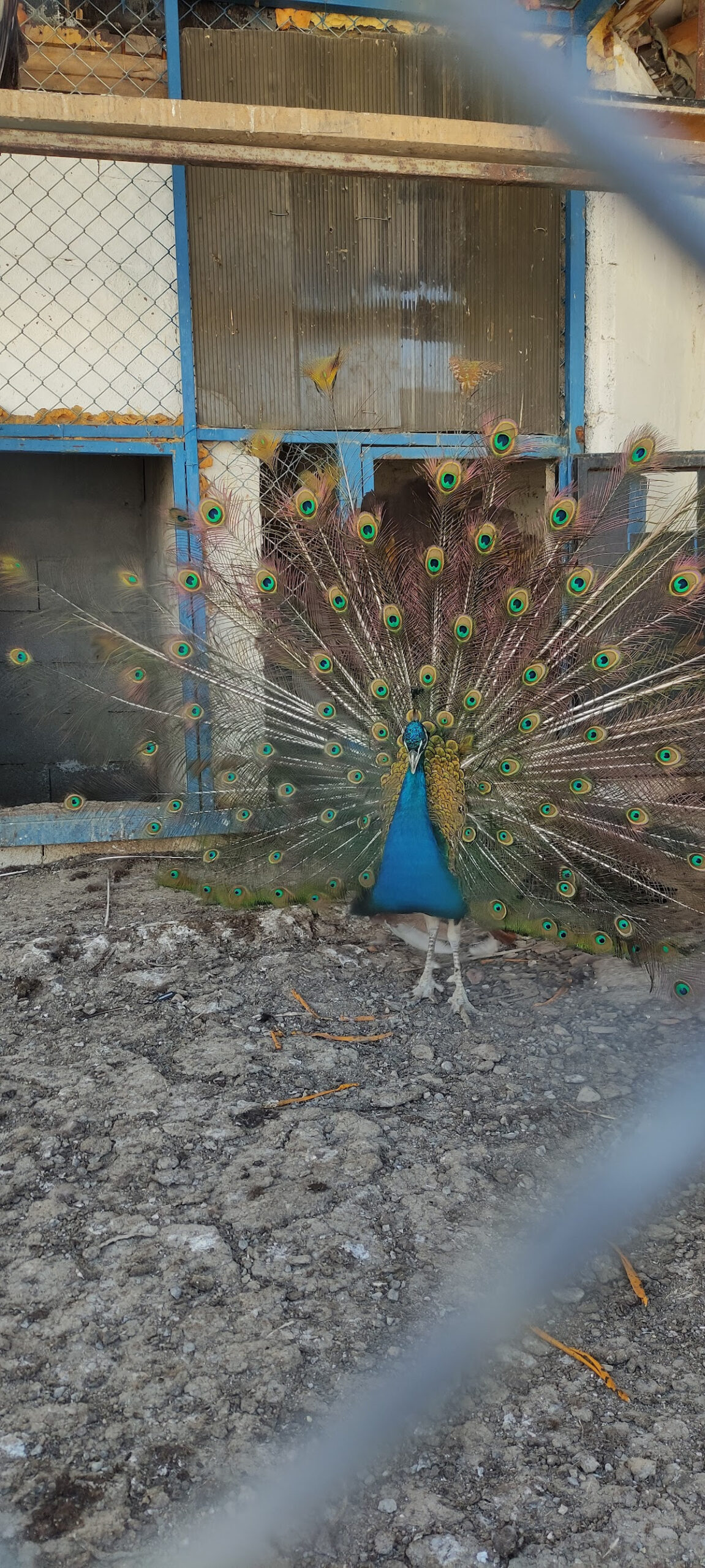 Lokman Hekim Kaplıcaları – Fotoğraf 5