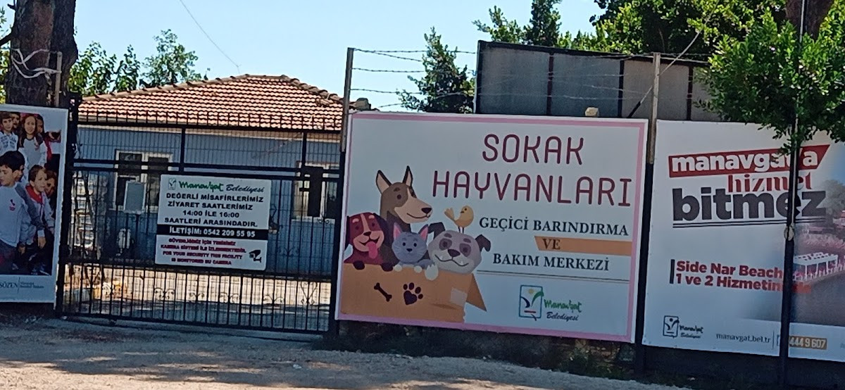 Manavgat Belediyesi Hayvan Barınağı – Fotoğraf 3