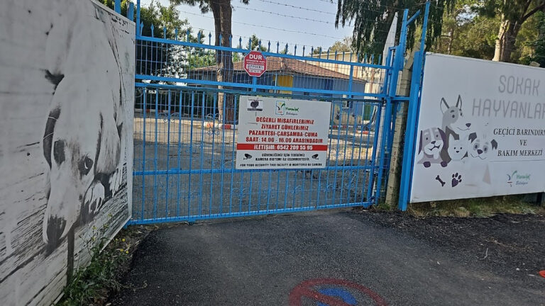 Manavgat Belediyesi Hayvan Barınağı — Manavgat Manavgat Resmi Kurumlar
