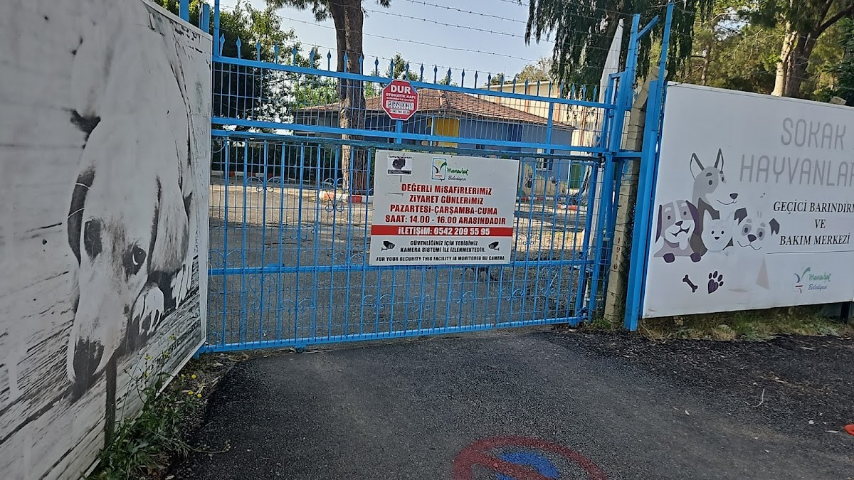 Manavgat Belediyesi Hayvan Barınağı – Fotoğraf 1