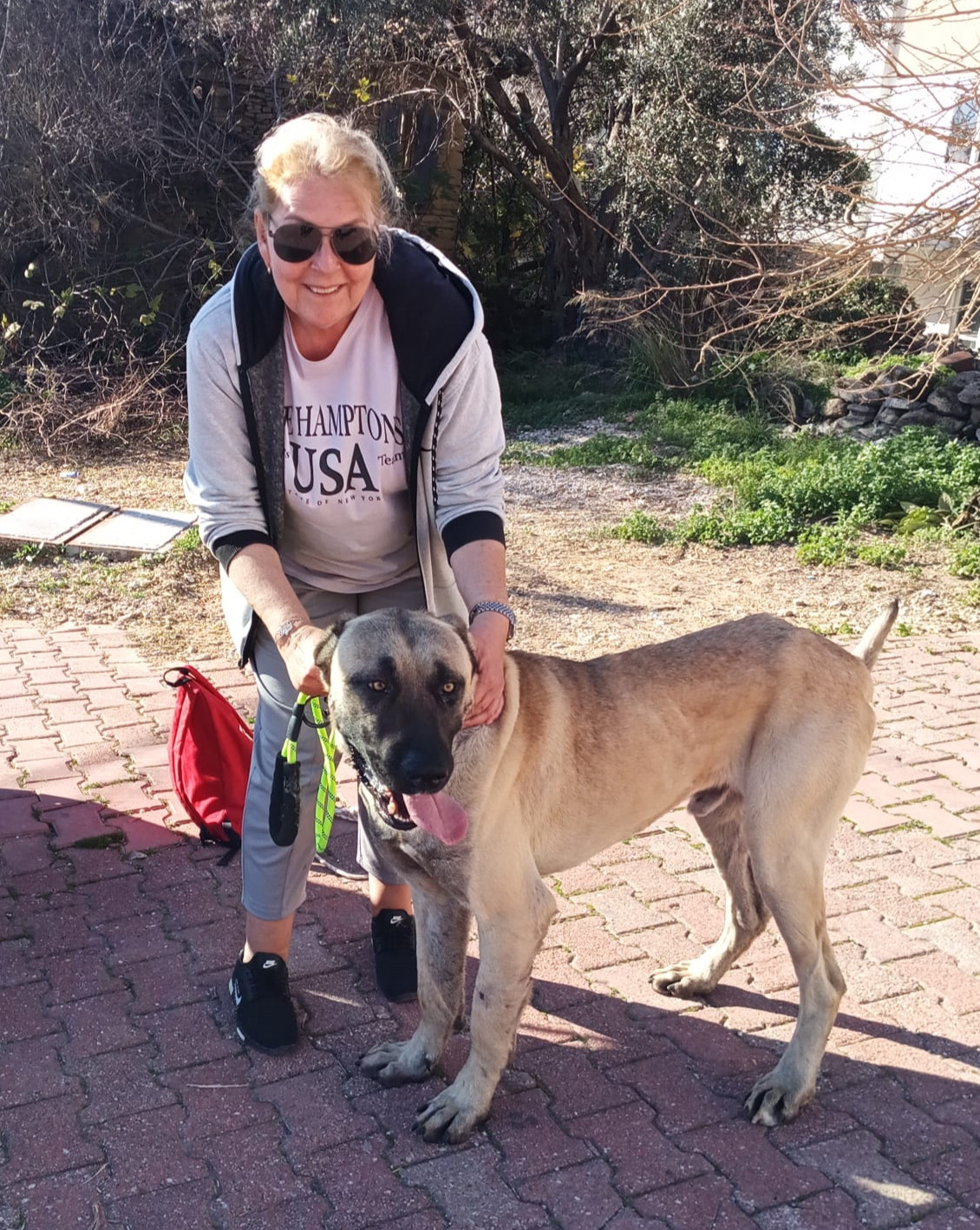 Manavgat Belediyesi Hayvan Barınağı – Fotoğraf 4